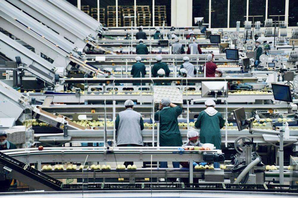 Workers on a food production line